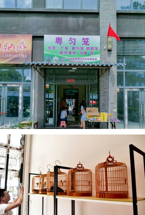 陽明花鳥文旅城鳥具業(yè)態(tài)區(qū)黃金旺鋪 邀您共享商機(jī) 錢 景